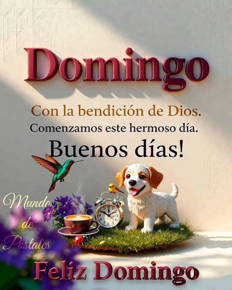 MagdaGuerrero's tweet photo. Bendiciones 🙌🙏⚘️ ♥️ https://t.co/XEox1A1cD5