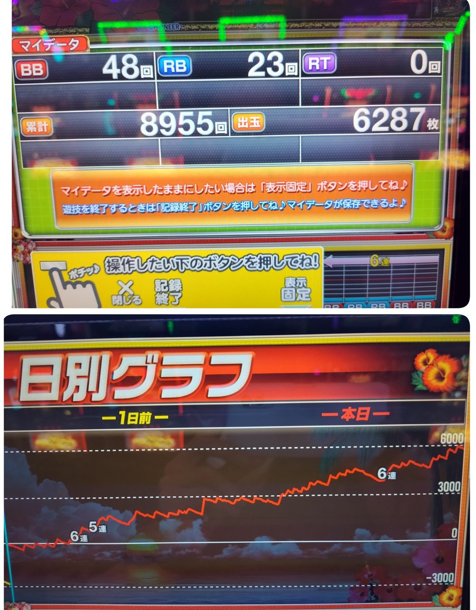 19740704a's tweet photo. ★ﾆｭｰｷﾝｸﾞV★
8955P/48ー23 合算1/126
+5819枚㊗️
昨日は高齢の母親の病院＆買い物の付き添い【親孝行DAY】で土曜今年2回目の非稼動💡

今日は満を持しての華活でした‼️💪🔥
狙い台ｹﾞｯﾂも1100Pの時点で3ー1‼️←捨てずにｼﾂｺｸやって良かったです😂
Ｒｽｲｶ＆ﾊﾞｹﾌﾗ無し‼️🤔
華愛♥ https://t.co/kOazcdLm0O
