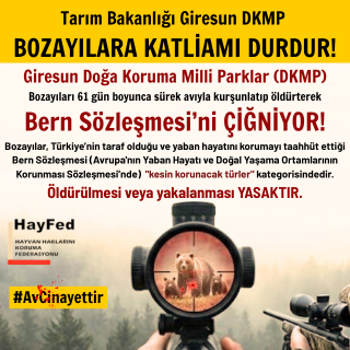 HayFed-Hayvan Haklarını Koruma Federasyonu tweet media