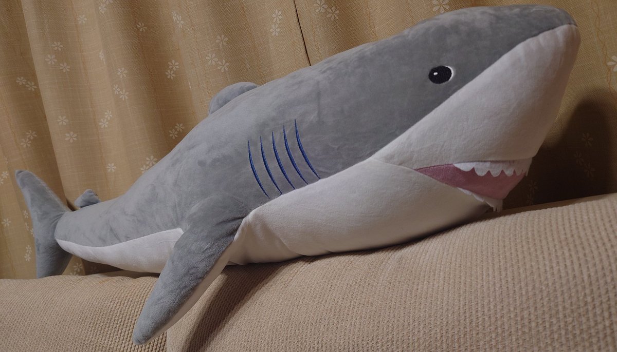 fiercevoice5's tweet photo. ぬいを初めて買った🦈 https://t.co/lG0QpZDNeL