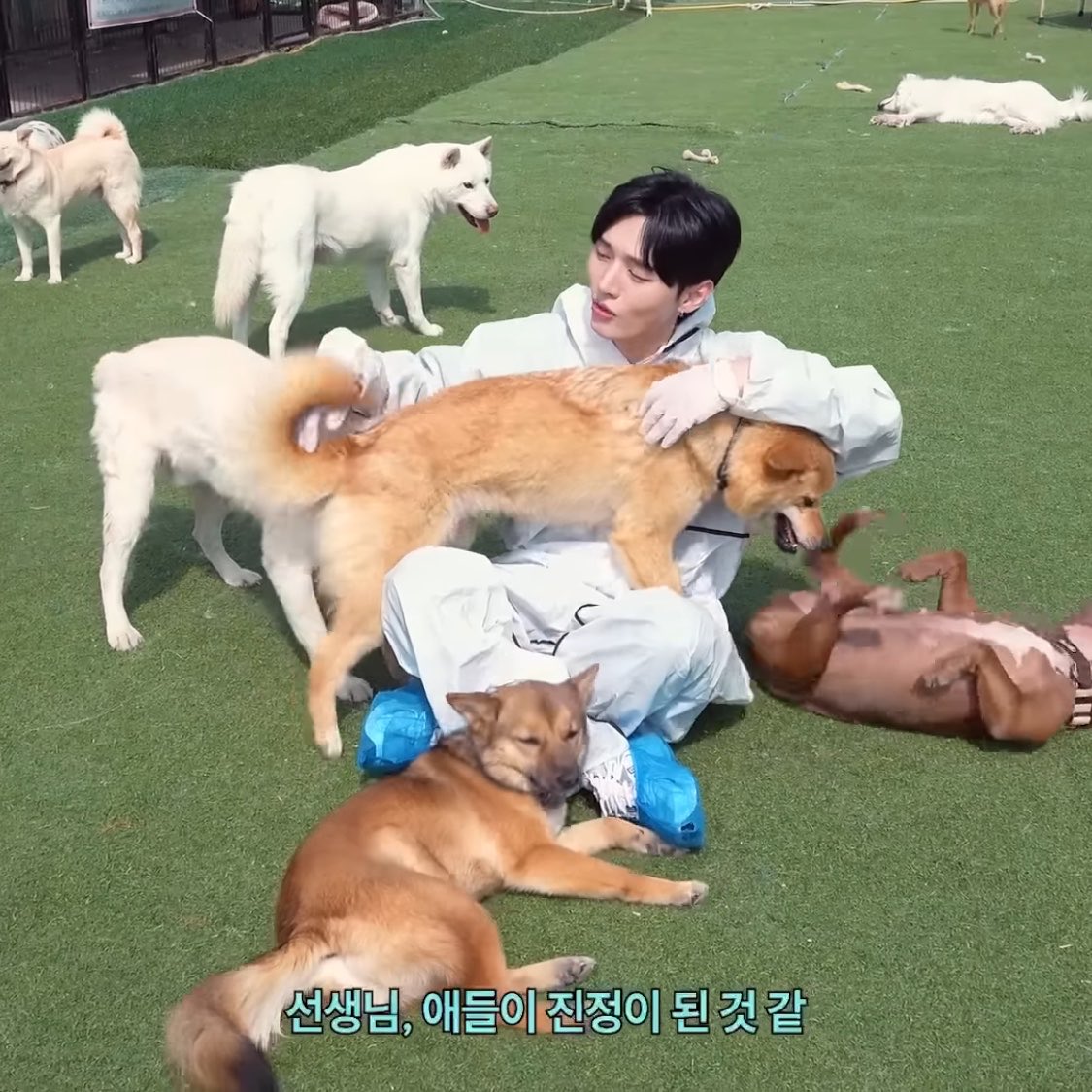 wannaonetsuhaza's tweet photo. 이거 그냥 워너원같다
윤지성과 10명의 동생들 https://t.co/uc311XOrd6