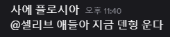 사에 플로시아 tweet media