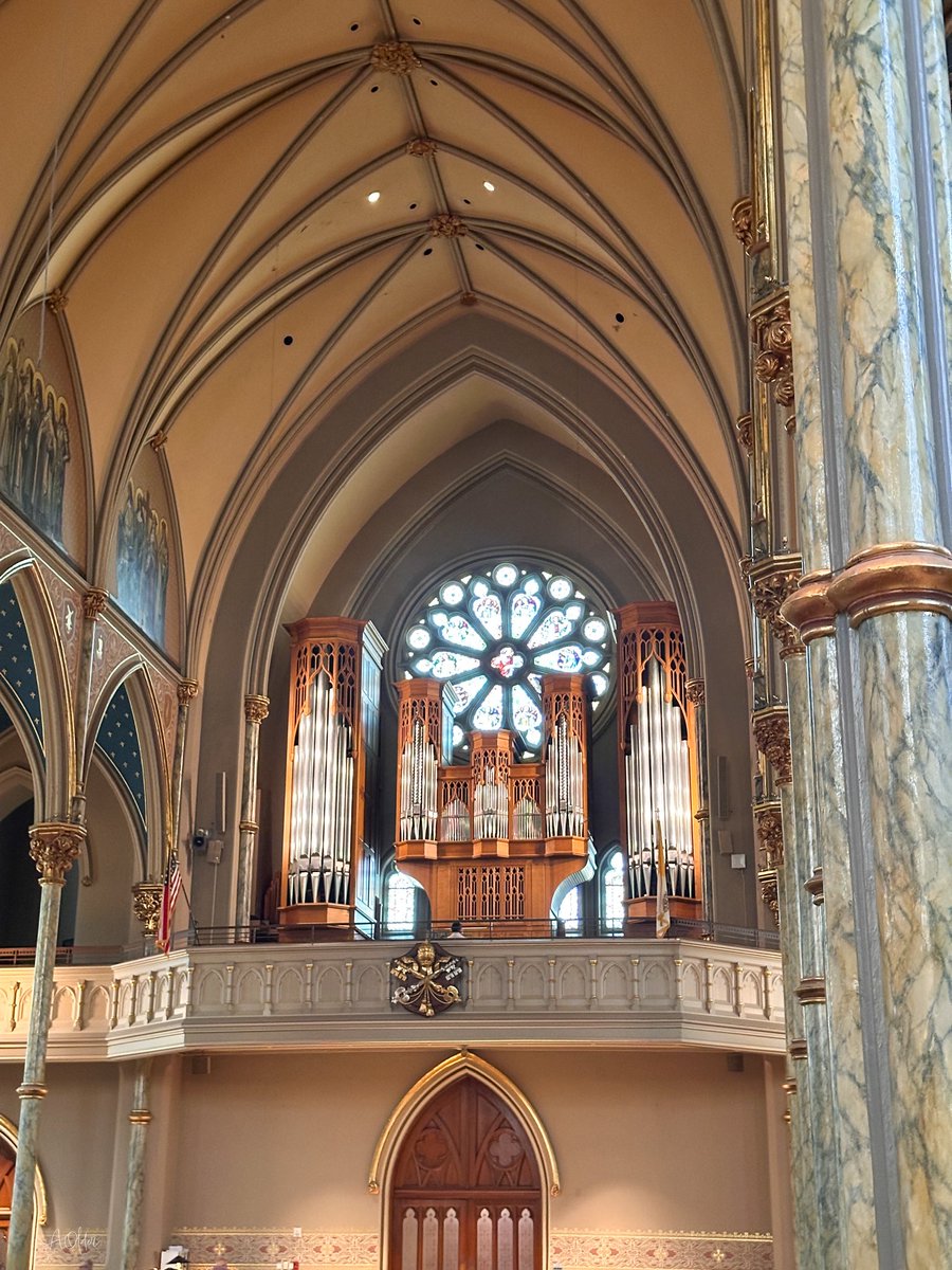 Architectolder's tweet photo. Beauty is obvious, ugliness requires a lecture. 

Keep showing beautiful things, the woke virus is on the run everywhere. https://t.co/hhdqHONGPy