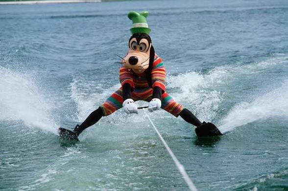 COC979's tweet photo. @Coinmaster100x Let's get $Goofy chads 

FYotE65teDcmcc3NaK3opUWmkosHVM32DgXEoEfq4zUQ

https://t.co/E61ilBuTXy https://t.co/s367OSZRi1