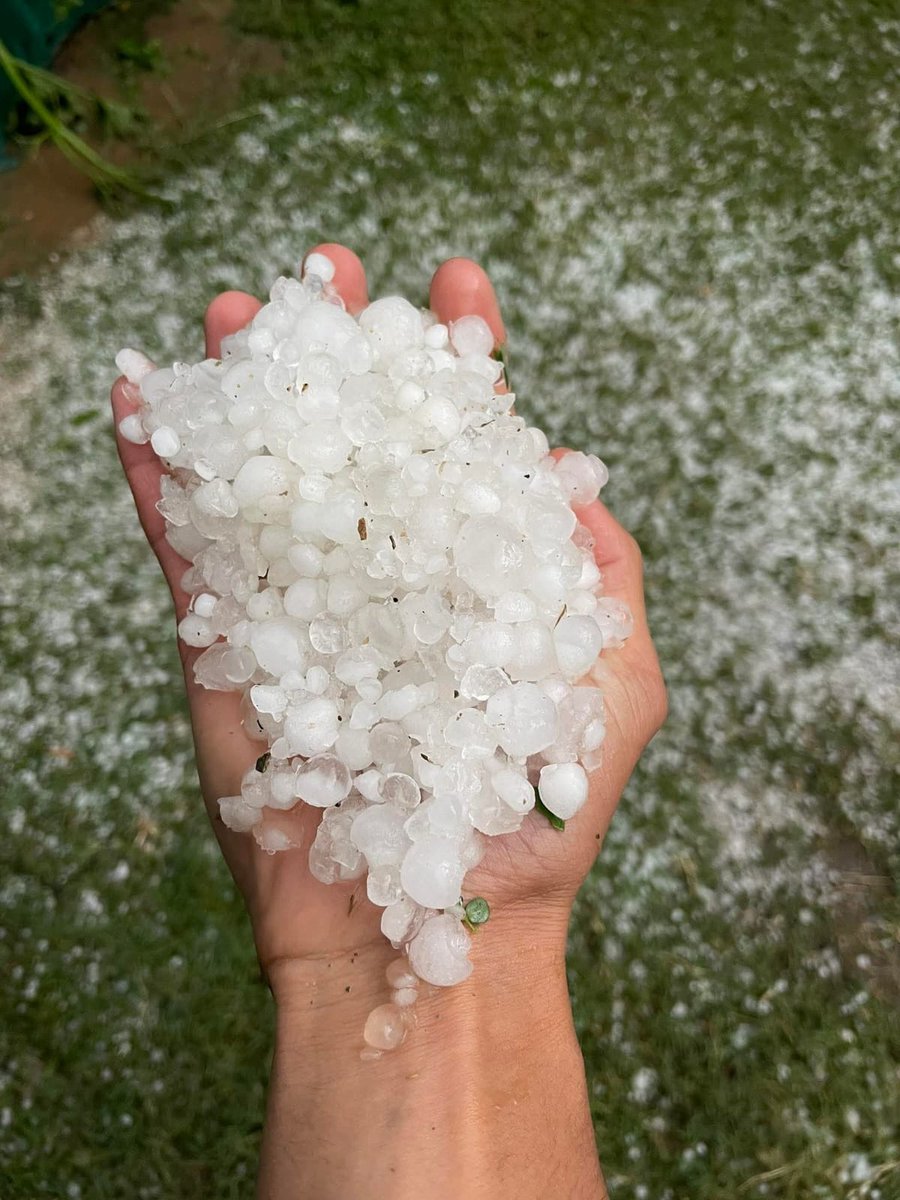 khadime_langate's tweet photo. Deeply concerned by the widespread damage caused by the hailstorms in several villages of Langate and Qaziabad.

I urge the administration, Hon'ble Minister for agriculture @JavedDar_NC to conduct an immediate ground assessment and ensure timely compensation to all affected families. My solidarity with our farmers