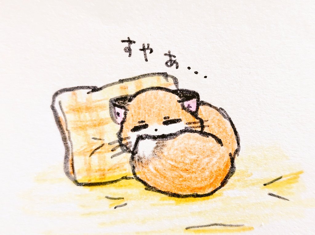 ふらぼの tweet media