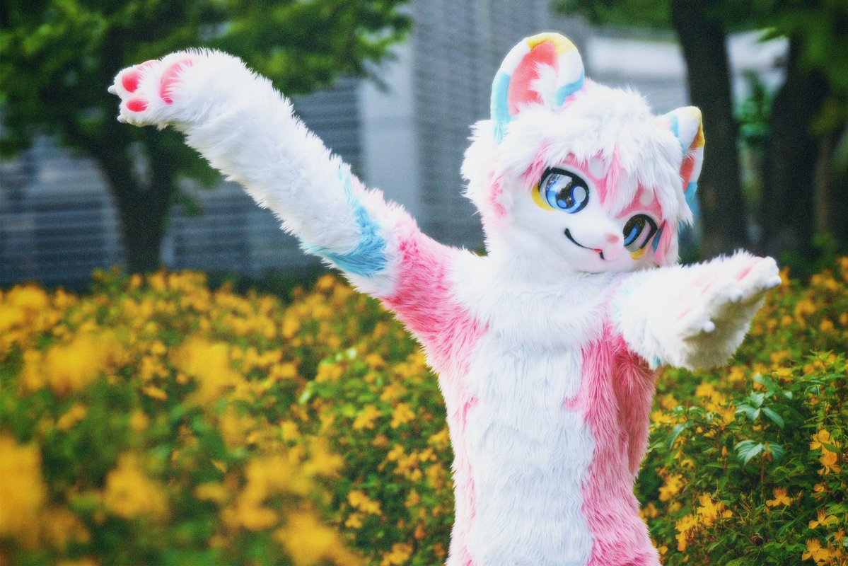 YANT0104's tweet photo. #Fursuit 
好喜歡這種膠片風！📷
～～～～～～～～～～～
#Furry #fursuitevery https://t.co/LPhgtY2iDl