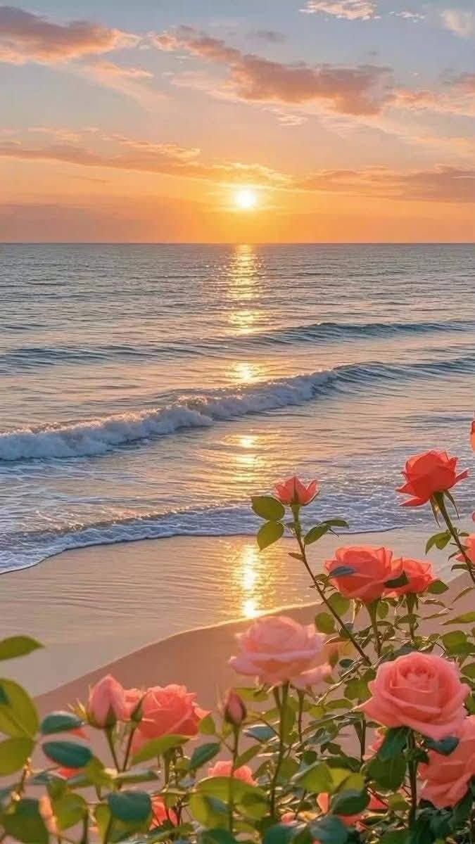 BFlowers76258's tweet photo. Gud Evening 🌆 with Flowers 🌹🌹 beautiful view 😘🪟 https://t.co/lOvDsshLpC