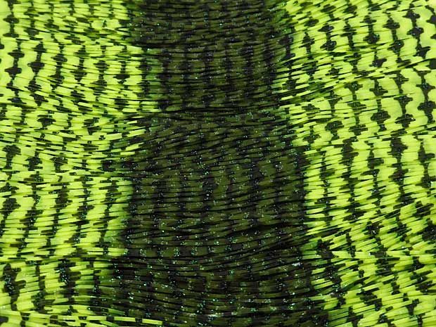seftack_de's tweet photo. Silikon Fransen BARBED WIRE Skirt Tabs
https://t.co/quInz2Rj7K
#silikon #fransen #usa #skirted #jig #basteln #angeln #silikonfransen https://t.co/eilfoA8uYL