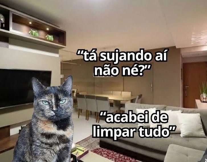 jiminelen's tweet photo. depois que eu arrumo a casa eu fico insuportável https://t.co/ldtEoQv3uH