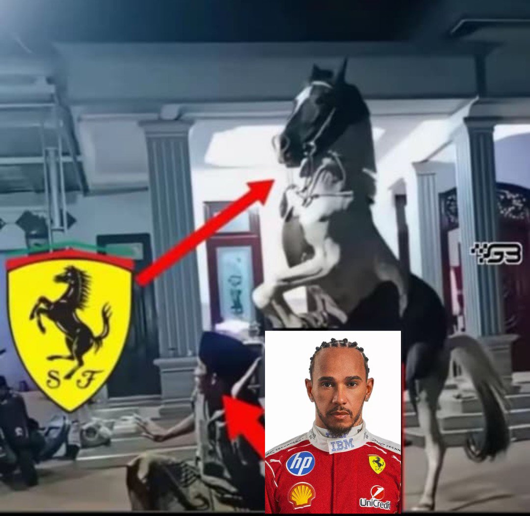 gussbagus_f1's tweet photo. PENJAGA MARWAH KING FERRARI https://t.co/3BEXlrTkug