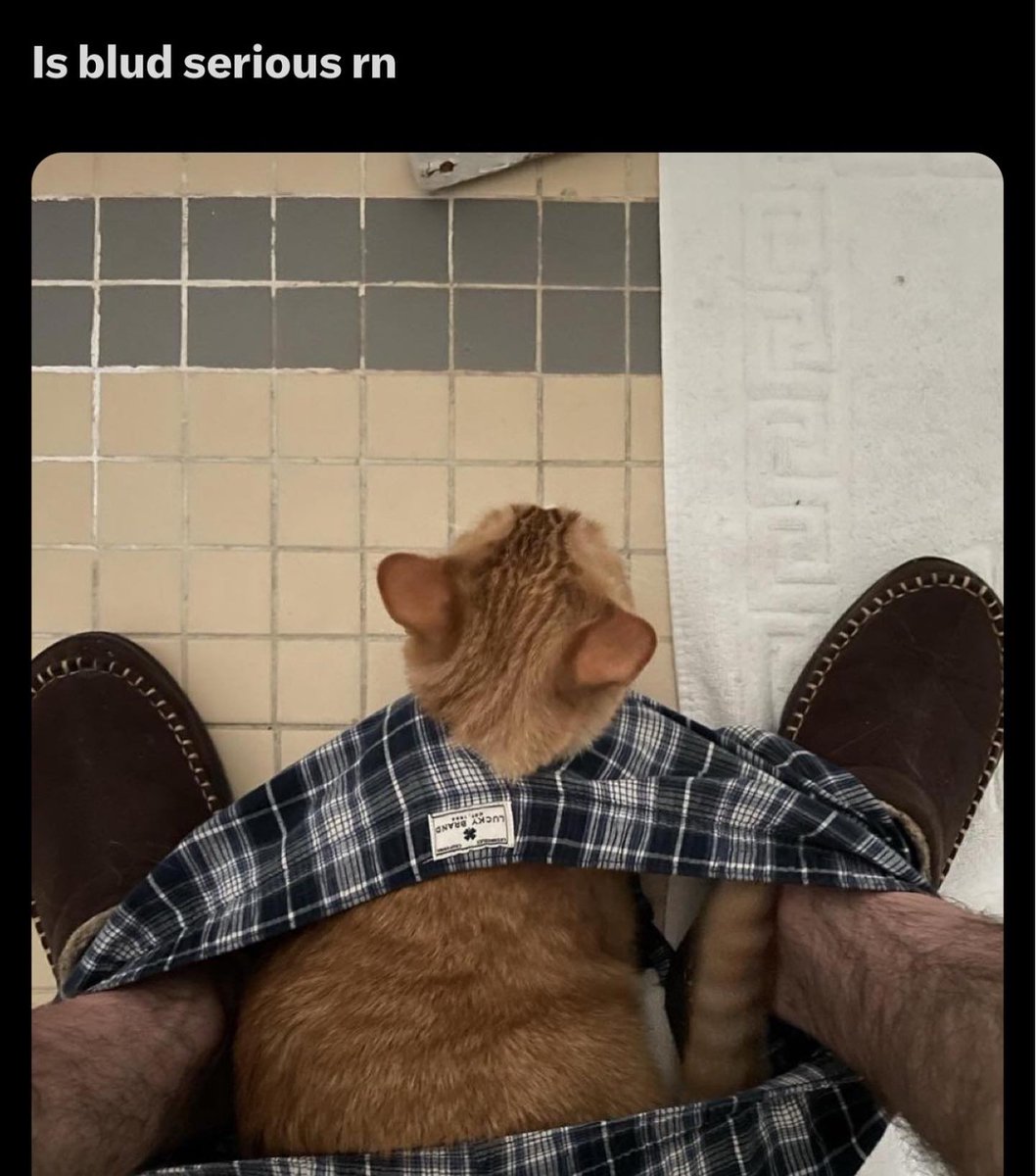 PunchingCat's tweet photo. https://t.co/mCeMyMBa88