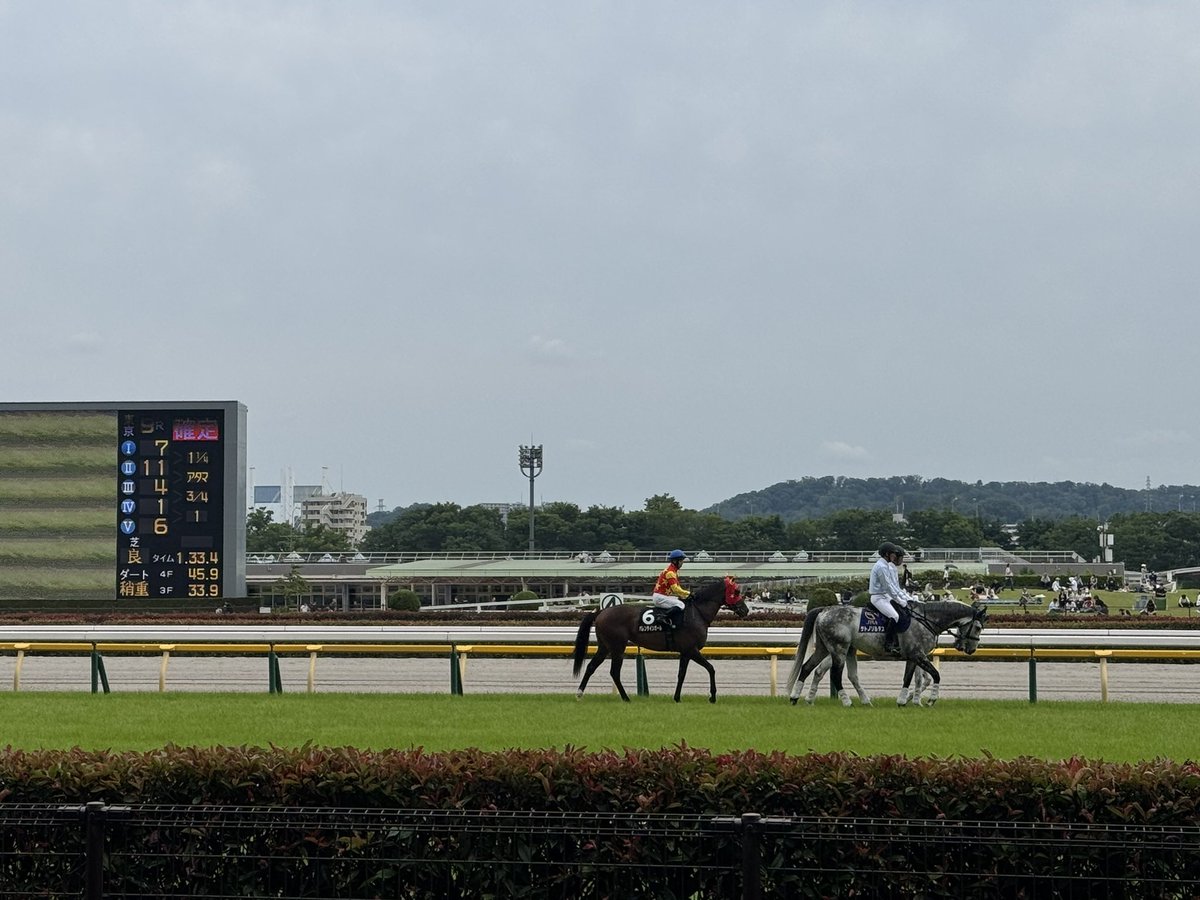 morimaru_store's tweet photo. 今日は競馬場に連れてってもらった🐴
にじあにまるのおうまちゃんと共に🐴���

お馬さんかっこよかった。
結果720円負けた。
いや、720円であそんできた🐎

たのしかった！
お馬さんに乗りたい。 https://t.co/dZE0BqJo9I