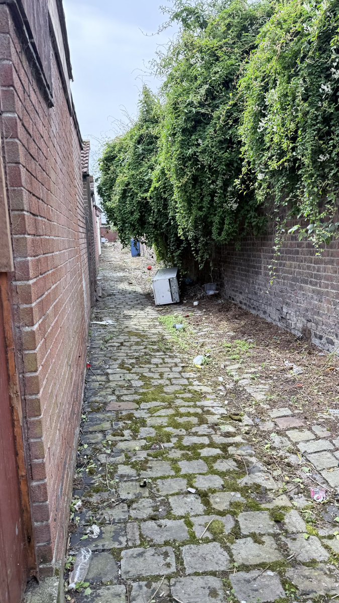JoeDunne_'s tweet photo. Today have been out speaking to neighbours about the upcoming skips in the Celebration/Sunlight Street Area. Also spoke to a woman who has various housing problems which I am going to raise with the Housing. 

Whilst out reported dumping rear of Somerset Place, Sunlight Street and Ellel Grove 

If neighbours have any other concerns please email Joe.Dunne@liverpool.gov.uk