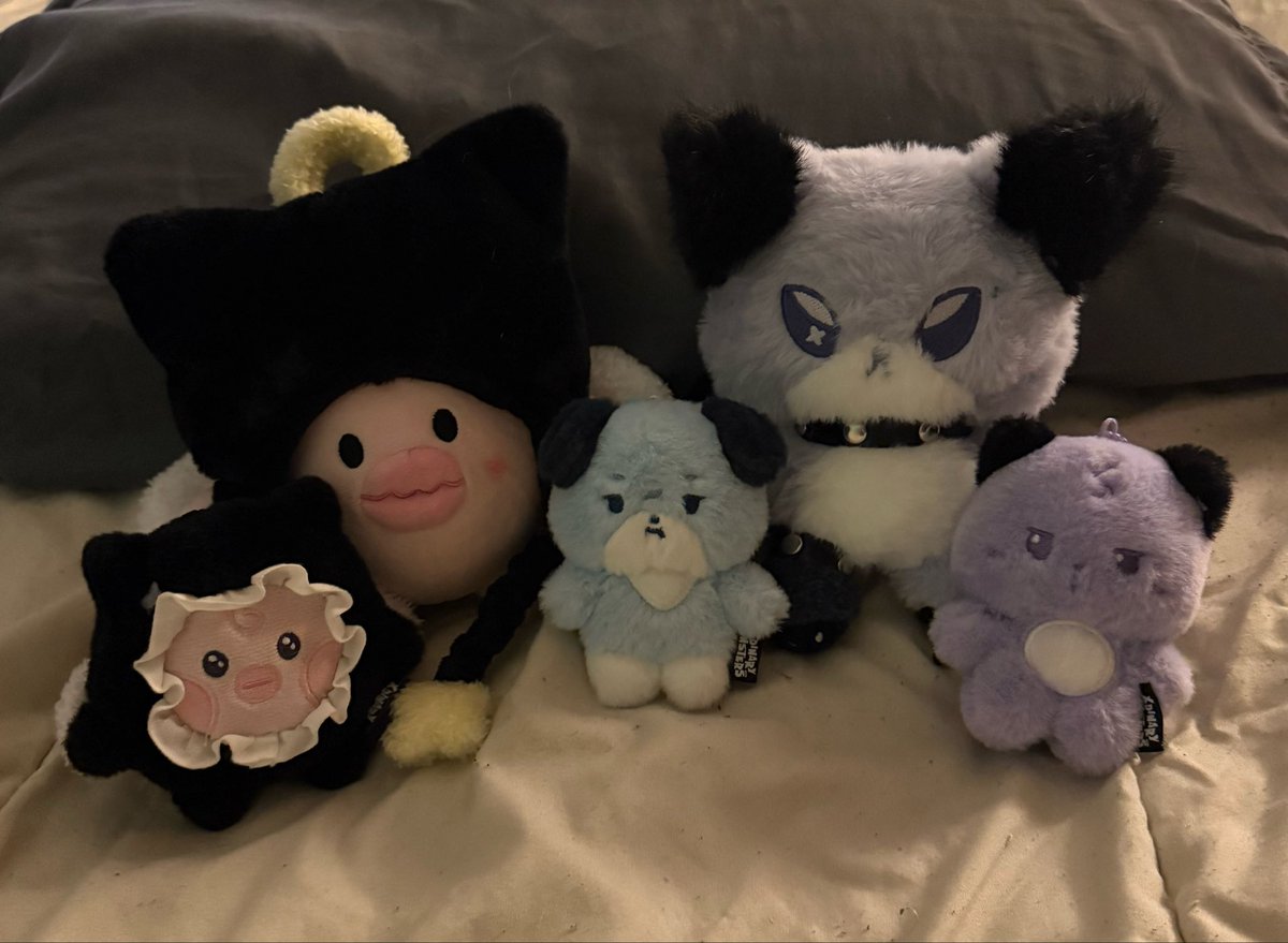JISE0KS's tweet photo. my xmon fam 🥹 one day ill get my hands on the big jjuf </3 https://t.co/N5KnY33ME5