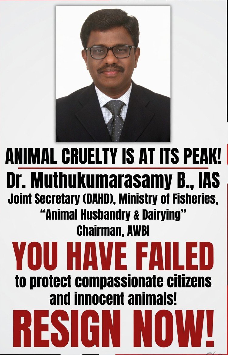 ANMLDFR's tweet photo. Dr. Muthukumarasamy B., IAS,
@MKSamyias 

You occupy a position on the Animal Welfare Board of India, an institution that is supposed to protect animals from cruelty and advance their welfare. Yet policies and SOPs emerging under the banner of "animal welfare" increasingly appear to move in the opposite direction.

How can it be called welfare if healthy community dogs are proposed to be confined for years potentially for life- in small enclosures with severely restricted freedom of movement, limited environmental stimulation, and a life that resembles imprisonment rather than welfare? 𝗞𝗲𝗲𝗽𝗶𝗻𝗴 𝗮 𝘀𝗲𝗻𝘁𝗶𝗲𝗻𝘁 𝗮𝗻𝗶𝗺𝗮𝗹 𝗶𝗻 𝗮 𝗰𝗮𝗴𝗲 𝗳𝗼𝗿 𝘆𝗲𝗮𝗿𝘀 𝗶𝘀 𝗻𝗼𝘁 𝗿𝗲𝗵𝗮𝗯𝗶𝗹𝗶𝘁𝗮𝘁𝗶𝗼𝗻. It is prolonged confinement.

The fundamental question is simple: 𝗶𝗳 𝘁𝗵𝗲 𝘀𝗮𝗺𝗲 𝘀𝘁𝗮𝗻𝗱𝗮𝗿𝗱𝘀 𝘄𝗲𝗿𝗲 𝗮𝗽𝗽𝗹𝗶𝗲𝗱 𝘁𝗼 𝗵𝘂𝗺𝗮𝗻𝘀, 𝘄𝗼𝘂𝗹𝗱 𝗮𝗻𝘆𝗼𝗻𝗲 𝗱𝗮𝗿𝗲 𝗰𝗮𝗹𝗹 𝗶𝘁 "𝗵𝘂𝗺𝗮𝗻 𝘄𝗲𝗹𝗳𝗮𝗿𝗲"❓ If lifelong confinement in a tiny enclosure with limited freedom, minimal social interaction, and restricted quality of life would not qualify as welfare for humans, 𝗯𝘆 𝘄𝗵𝗮𝘁 𝗹𝗼𝗴𝗶𝗰 𝗱𝗼𝗲𝘀 𝗶𝘁 𝗯𝗲𝗰𝗼𝗺𝗲 𝘄𝗲𝗹𝗳𝗮𝗿𝗲 𝗳𝗼𝗿 𝗮𝗻𝗶𝗺𝗮𝗹𝘀❓

𝗘𝗾𝘂𝗮𝗹𝗹𝘆 𝗱𝗶𝘀𝘁𝘂𝗿𝗯𝗶𝗻𝗴 𝗶𝘀 𝘁𝗵𝗲 𝗰𝗼𝗻𝘁𝗶𝗻𝘂𝗲𝗱 𝗲𝘅𝗶𝘀𝘁𝗲𝗻𝗰𝗲 𝗼𝗳 𝗦𝗲𝗰𝘁𝗶𝗼𝗻 𝟮𝟴 𝗼𝗳 𝘁𝗵𝗲 𝗣𝗿𝗲𝘃𝗲𝗻𝘁𝗶𝗼𝗻 𝗼𝗳 𝗖𝗿𝘂𝗲𝗹𝘁𝘆 𝘁𝗼 𝗔𝗻𝗶𝗺𝗮𝗹𝘀 𝗔𝗰𝘁, which grants legal protection to certain forms of animal killing in the name of religion. 𝗘𝘃𝗲𝗻 𝘁𝗵𝗲 𝗹𝗼𝗻𝗴-𝗽𝗲𝗻𝗱𝗶𝗻𝗴 𝗣𝗖𝗔 𝗔𝗺𝗲𝗻𝗱𝗺𝗲𝗻𝘁 𝗗𝗿𝗮𝗳𝘁 𝗳𝗮𝗶𝗹𝗲𝗱 𝘁𝗼 𝗿𝗲𝗺𝗼𝘃𝗲 𝘁𝗵𝗶𝘀 𝗽𝗿𝗼𝘃𝗶𝘀𝗶𝗼𝗻. At a time when India claims to be moving toward scientific temper, compassion, and modern animal welfare standards, retaining legal exemptions for animal suffering raises serious moral and policy concerns.

The contradiction becomes even more striking 𝘄𝗵𝗲𝗻 𝗮𝘂𝘁𝗵𝗼𝗿𝗶𝘁𝗶𝗲𝘀 𝗶𝘀𝘀𝘂𝗲 𝗮𝗱𝘃𝗶𝘀𝗼𝗿𝗶𝗲𝘀 𝘁𝗼 𝘀𝗹𝗮𝘂𝗴𝗵𝘁𝗲𝗿𝗵𝗼𝘂𝘀𝗲𝘀 𝗼𝗻 𝗵𝗼𝘄 𝗮𝗻𝗶𝗺𝗮𝗹𝘀 𝘀𝗵𝗼𝘂𝗹𝗱 𝗯𝗲 𝗸𝗶𝗹𝗹𝗲𝗱 𝘄𝗶𝘁𝗵 "𝗹𝗲𝘀𝘀 𝗽𝗮𝗶𝗻." If the objective is animal welfare, then reducing pain during killing cannot be treated as a substitute for addressing the ethical problem itself. 𝗖𝗮𝗹𝗹𝗶𝗻𝗴 𝘀𝘂𝗰𝗵 𝗺𝗲𝗮𝘀𝘂𝗿𝗲𝘀 "𝗮𝗻𝗶𝗺𝗮𝗹 𝘄𝗲𝗹𝗳𝗮𝗿𝗲" 𝗿𝗶𝘀𝗸𝘀 𝘁𝘂𝗿𝗻𝗶𝗻𝗴 𝘁𝗵𝗲 𝘃𝗲𝗿𝘆 𝗰𝗼𝗻𝗰𝗲𝗽𝘁 𝗶𝗻𝘁𝗼 𝗮 𝗯𝘂𝗿𝗲𝗮𝘂𝗰𝗿𝗮𝘁𝗶𝗰 𝗳𝗼𝗿𝗺𝗮𝗹𝗶𝘁𝘆.

𝗜𝗻𝗱𝗶𝗮 𝗻𝗲𝗲𝗱𝘀 𝗮𝗻 𝗔𝗻𝗶𝗺𝗮𝗹 𝗪𝗲𝗹𝗳𝗮𝗿𝗲 𝗕𝗼𝗮𝗿𝗱 𝘁𝗵𝗮𝘁 𝗽𝗹𝗮𝗰𝗲𝘀 𝗮𝗻𝗶𝗺𝗮𝗹 𝘄𝗲𝗹𝗳𝗮𝗿𝗲 𝗳𝗶𝗿𝘀𝘁-𝗻𝗼𝘁 𝗮𝗱𝗺𝗶𝗻𝗶𝘀𝘁𝗿𝗮𝘁𝗶𝘃𝗲 𝗰𝗼𝗻𝘃𝗲𝗻𝗶𝗲𝗻𝗰𝗲, 𝗽𝗼𝗹𝗶𝘁𝗶𝗰𝗮𝗹 𝗽𝗿𝗲𝘀𝘀𝘂𝗿𝗲, 𝗼𝗿 𝗼𝘂𝘁𝗱𝗮𝘁𝗲𝗱 𝗮𝗽𝗽𝗿𝗼𝗮𝗰𝗵𝗲𝘀 𝘁𝗵𝗮𝘁 𝗻𝗼𝗿𝗺𝗮𝗹𝗶𝘇𝗲 𝗰𝗼𝗻𝗳𝗶𝗻𝗲𝗺𝗲𝗻𝘁 𝗮𝗻𝗱 𝘀𝘂𝗳𝗳𝗲𝗿𝗶𝗻𝗴.

The country deserves officials who are willing to defend animals, strengthen protections, and 𝗼𝗽𝗽𝗼𝘀𝗲 𝗽𝗼𝗹𝗶𝗰𝗶𝗲𝘀 𝘁𝗵𝗮𝘁 𝗶𝗻𝗰𝗿𝗲𝗮𝘀𝗲 𝗰𝗿𝘂𝗲𝗹𝘁𝘆 𝘂𝗻𝗱𝗲𝗿 𝘁𝗵𝗲 𝗹𝗮𝗯𝗲𝗹 𝗼𝗳 𝘄𝗲𝗹𝗳𝗮𝗿𝗲.

If an officer entrusted with animal welfare supports or enables measures that result in lifelong confinement, continued suffering, and diluted protections for animals, then 𝘀𝗲𝗿𝗶𝗼𝘂𝘀 𝗾𝘂𝗲𝘀𝘁𝗶𝗼𝗻𝘀 𝗮𝗿𝗶𝘀𝗲 𝗮𝗯𝗼𝘂𝘁 𝘄𝗵𝗲𝘁𝗵𝗲𝗿 𝘁𝗵𝗮𝘁 𝗼𝗳𝗳𝗶𝗰𝗲𝗿 𝗶𝘀 𝘀𝗲𝗿𝘃𝗶𝗻𝗴 𝘁𝗵𝗲 𝗽𝘂𝗿𝗽𝗼𝘀𝗲 𝗳𝗼𝗿 𝘄𝗵𝗶𝗰𝗵 𝘁𝗵𝗲 𝗕𝗼𝗮𝗿𝗱 𝘄𝗮𝘀 𝗰𝗿𝗲𝗮𝘁𝗲𝗱.

We do not want animal welfare to be reduced to paperwork while animals continue to suffer.

𝗥𝗲𝘀𝗶𝗴𝗻 𝗳𝗿𝗼𝗺 𝘁𝗵𝗲 𝗔𝗻𝗶𝗺𝗮𝗹 𝗪𝗲𝗹𝗳𝗮𝗿𝗲 𝗕𝗼𝗮𝗿𝗱 𝗼𝗳 𝗜𝗻𝗱𝗶𝗮 and make way for leadership that is genuinely committed to animal welfare, animal rights, and compassion.

#resign_Muthukumarasamy