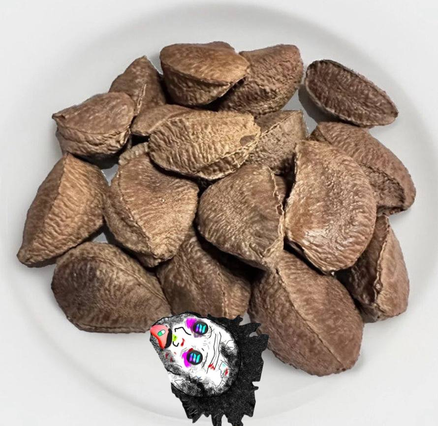 wojakCEOs's tweet photo. @SolOnPulse its relatively kinda insane how brother thinks im not going to eat his nuts https://t.co/neO58oW7C3