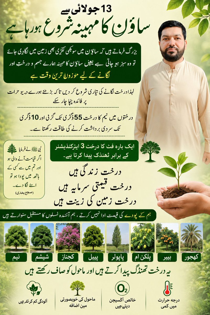 zamirsultan's tweet photo. #greenery #TreePlantation #TreePlantingChallenge #fypシ゚viralシ https://t.co/MobJG1yUM1