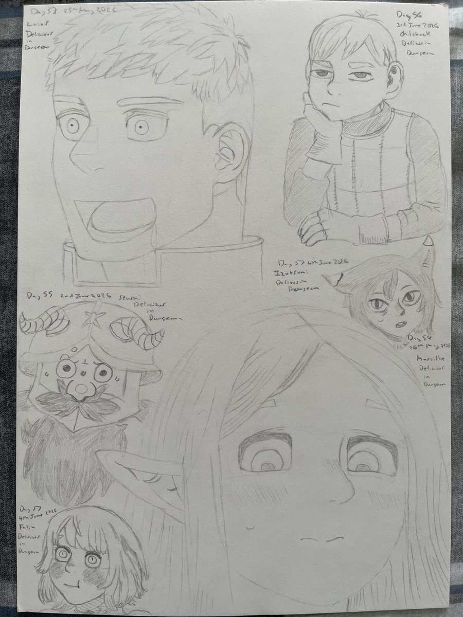 joshprof4's tweet photo. Day 53-59 Learning to draw: I did some quick drawings of the cast of Delicious in Dungeon! I also have a back log of drawings I will share over the next week. #learningtodraw #Animeart #Deliciousindungeon https://t.co/rPgVQ9BU20
