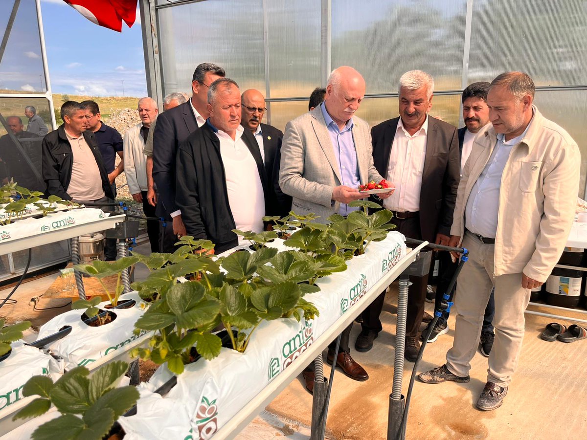 semsibayraktar's tweet photo. Ankara Kahramankazan Soğucak Köyü’nde bulunan Tarımsal Kalkınma Kooperatifine ait Soğucak Termal Serası’nda dört mevsim üretim yapılan serayı ziyaret ettim. Kahramankazan Belediyesi ile Ankara Büyükşehir Belediyesi iş birliğinde yapılan modern tarım tekniklerinin uygulandığı serada çilek üretimi hakkında bilgi aldım.