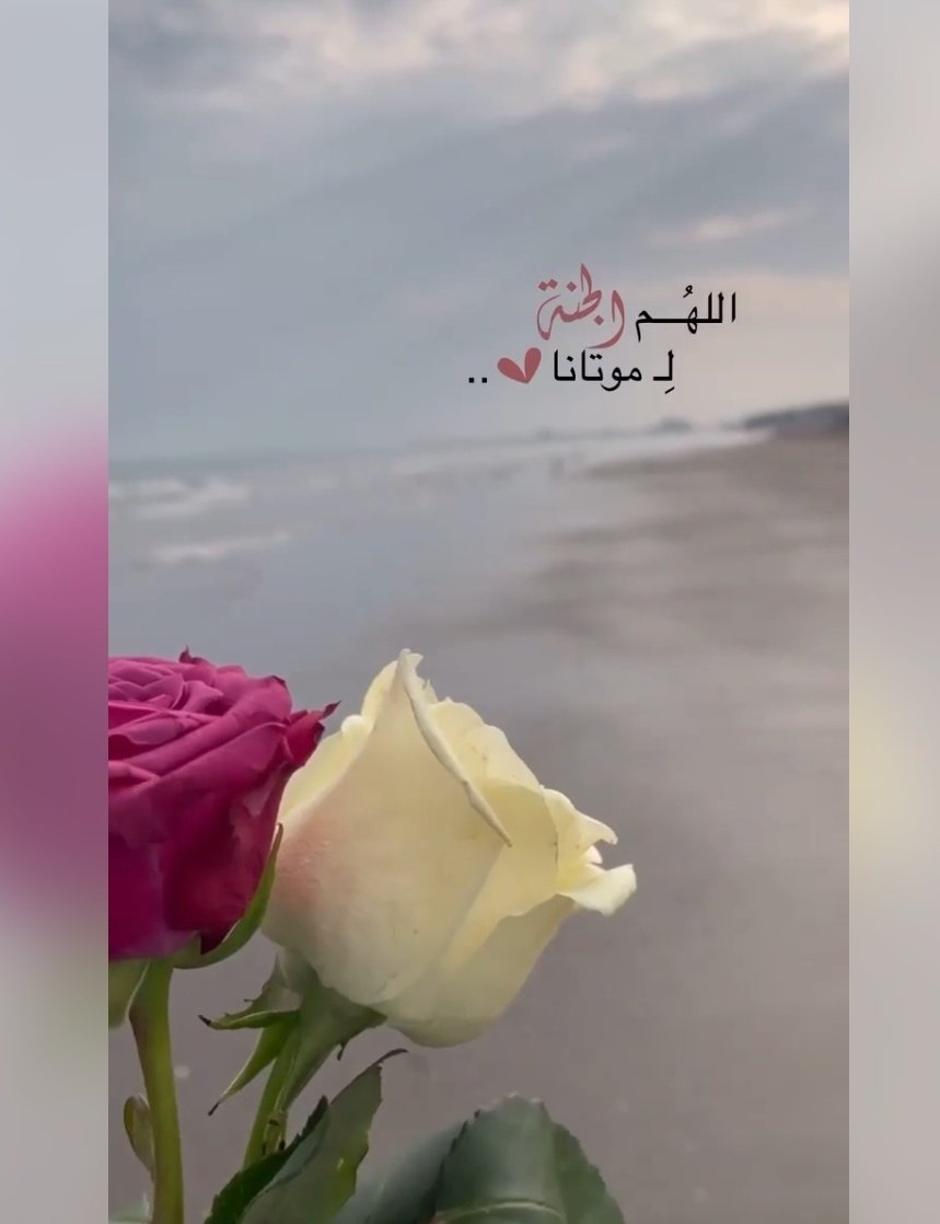 دعم حٍۆرٍ آلُعٍيَن 🔁 tweet media