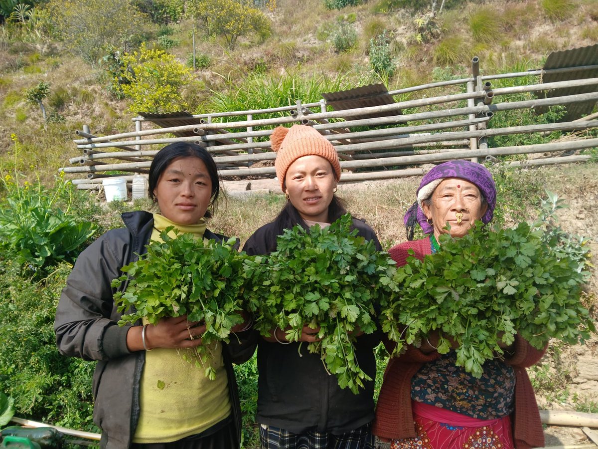 rlwfp's tweet photo. Transforming Food Systems through strong Partnerships!

@WFP_Nepal values its strong partnership with @FinlandinNepal in advancing sustainable, community-led solutions that improve nutrition, strengthen livelihoods and build resilience.

Through its support to the Home-Grown School Feeding Programme Finland 🇫🇮 is helping strengthen local food systems in Nepal🇳🇵by linking school meals with smallholder farmers. 

This approach promotes sustainable, climate-smart agriculture while delivering locally driven solutions that improve community wellbeing.

We look forward to continued engagement & sharing lessons from the field as we work together towards stronger, healthier communities.