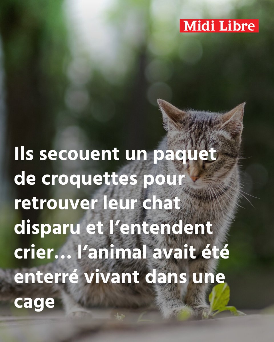 Midi Libre tweet media