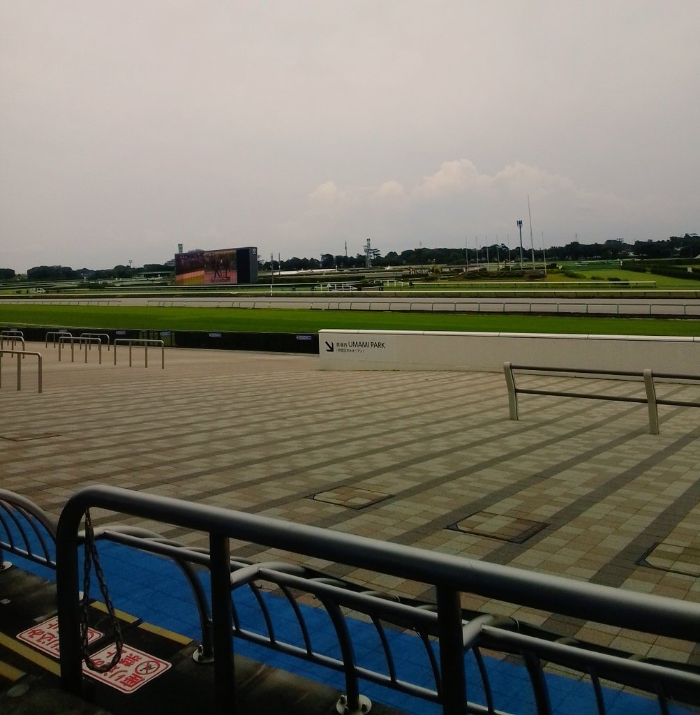 はり太朗 tweet media