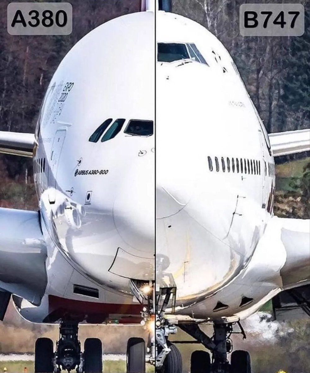 AVIOKNOWLEDGE's tweet photo. spot https://t.co/VSp68DpXld