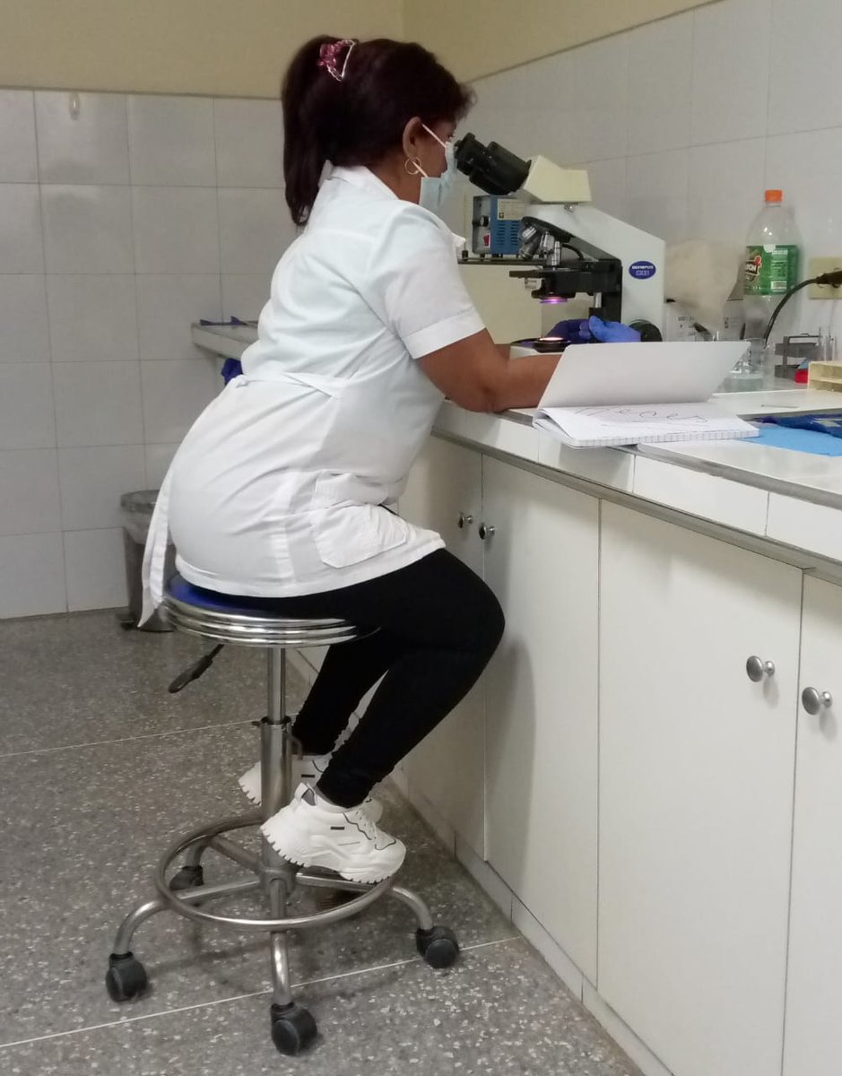 avila15440's tweet photo. Solidaridad, humanismo y patriotismo: las banderas de Maceo, el Che y nuestra Misión Médica en Venezuela desde el Estado Lara este 14 de junio. ¡Su legado se multiplica en tierras bolivarianas! 🇨🇺🤝🇻🇪🩺 #MaceoVive #NiUnTanticoAsí https://t.co/3RhRPPdhRn