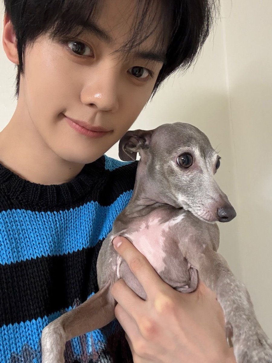 shiningrass's tweet photo. WE'LL MISS YOU URI EUMPPAPPA 😭🫳🏻 https://t.co/256VQ2Lvro