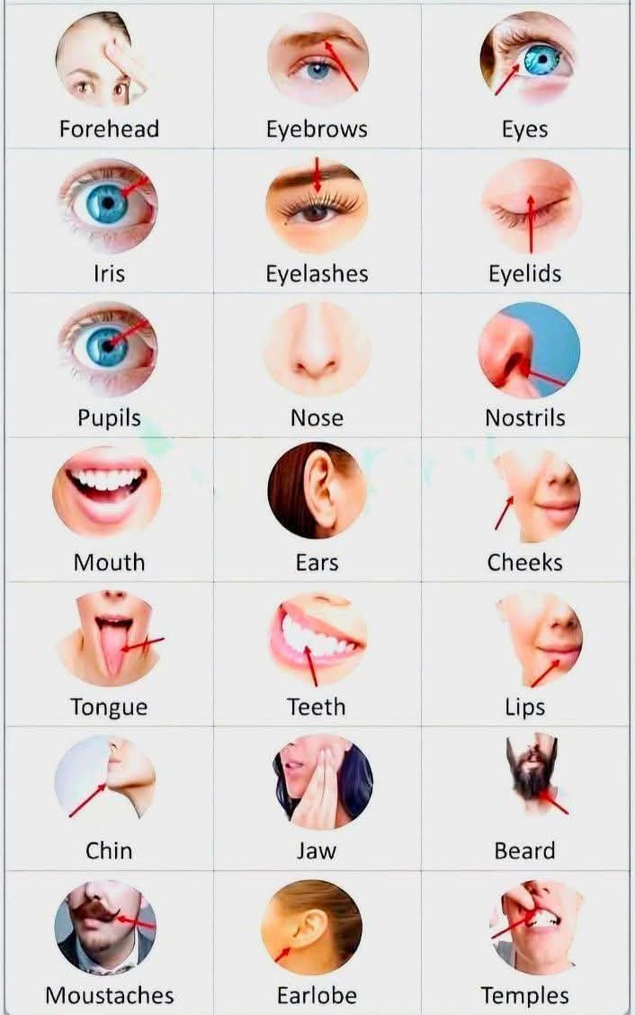 English_tipps's tweet photo. https://t.co/3KrNCD7ARe