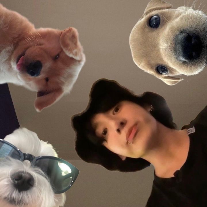 mei ⁷ will see bts 𑣲⋆ ꣑ৎ tweet media