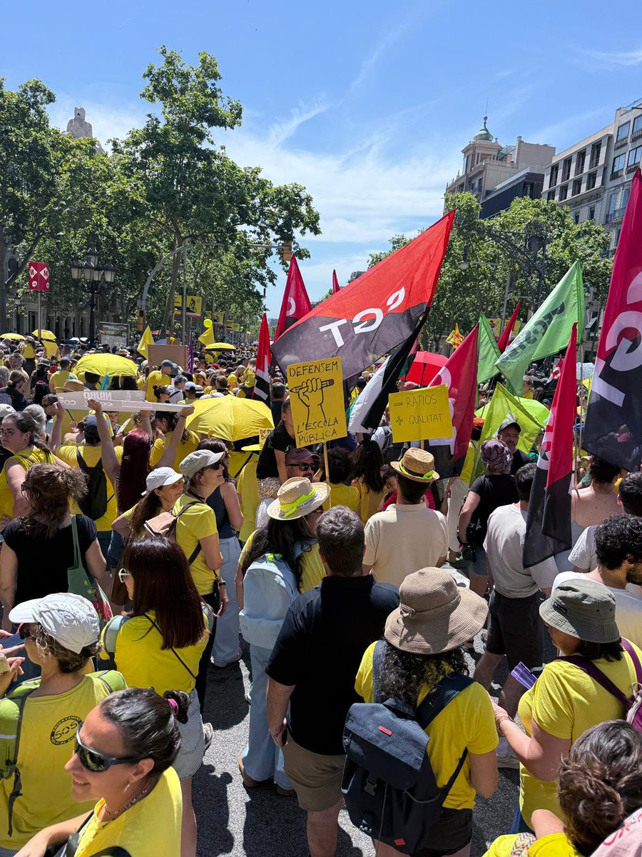 ERC_educacio's tweet photo. L’educació és un pilar fonamental i estratègic de país.

Necessitem escoltar més i imposar menys defugint de la divisió i apel·lant al consens.

La comunitat educativa es mereix aquest esforç i el país també.

@Esquerra_ERC hi serem. https://t.co/GN2BNnaijN