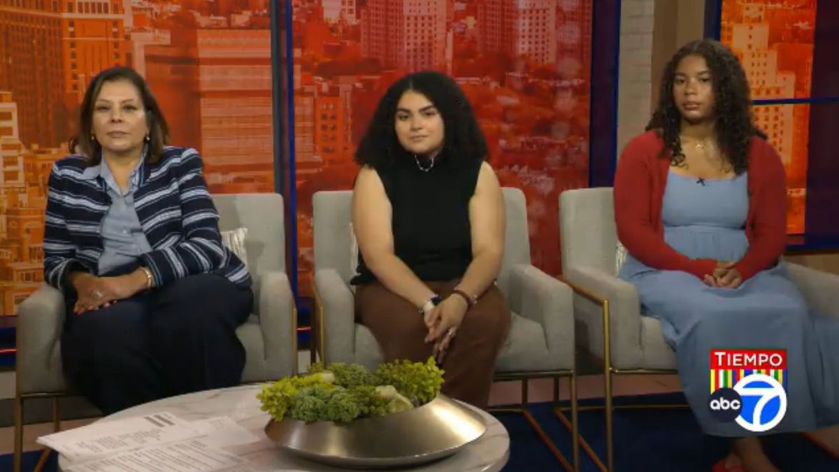 ABC7NY's tweet photo. Tiempo: Celebrating Puerto Rican pride with honorees, organizers ahead of 69th annual parade https://t.co/2WiUjikDcV https://t.co/bjJtzFtutZ