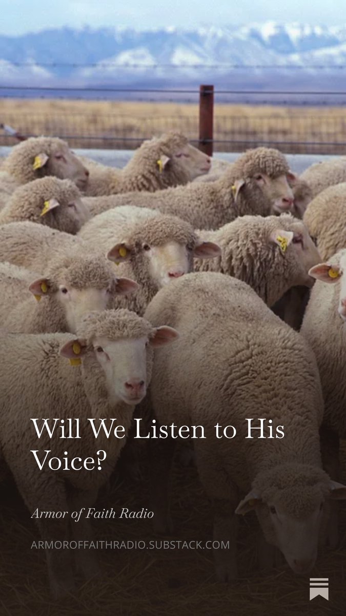 ArmorofFaithRad's tweet photo. Will We Listen to His Voice?

This  week's scripture, reflection, and discussion questions ask us to  reflect on the voice which leads us to our purpose and vocations.

https://t.co/MC2qyg52n0

#Catholic #CatholicRadio #CatholicX https://t.co/JcrVJVorAD