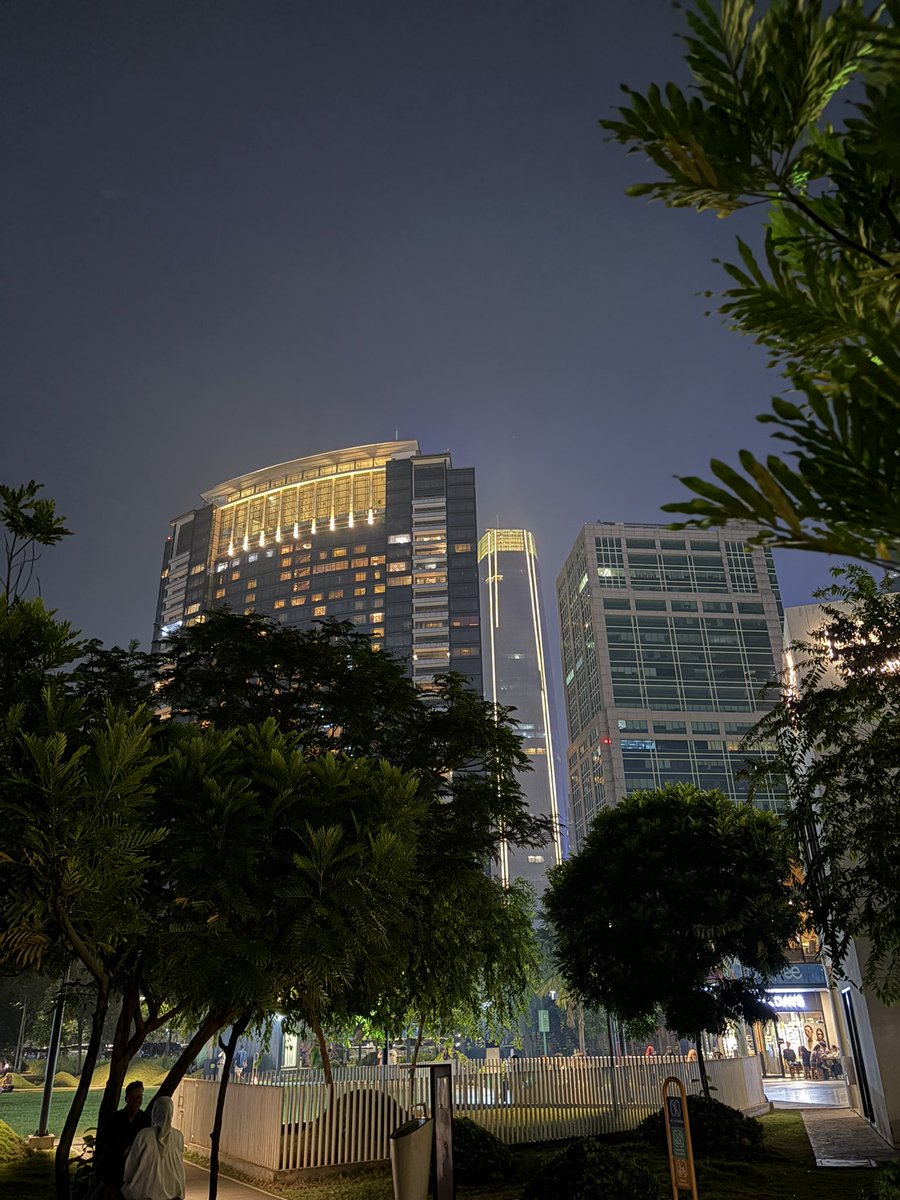 JMeikenser's tweet photo. The biggest Privilege living in Jakarta was being able to access many park with public transport https://t.co/SIlD212pW4