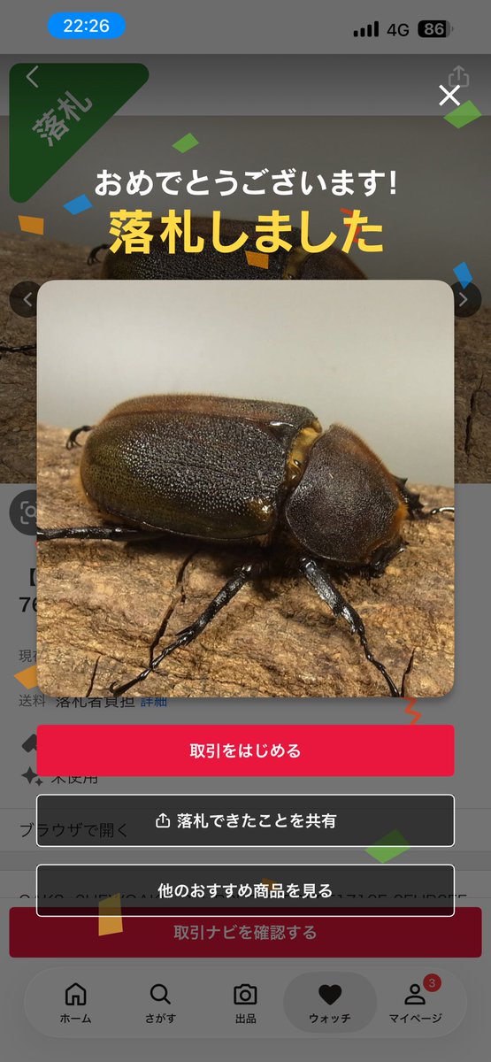 Hamanuko_2000's tweet photo. 東北ペットフェスお疲れ様でした。

購入してくださったお客様、ありがとうございました。

夕飯は牛たんカレーを食べました❗️

そして帰宅中にHirokAおやびん@HirokA_world のオークションが😳 https://t.co/EMdpuIwqnG