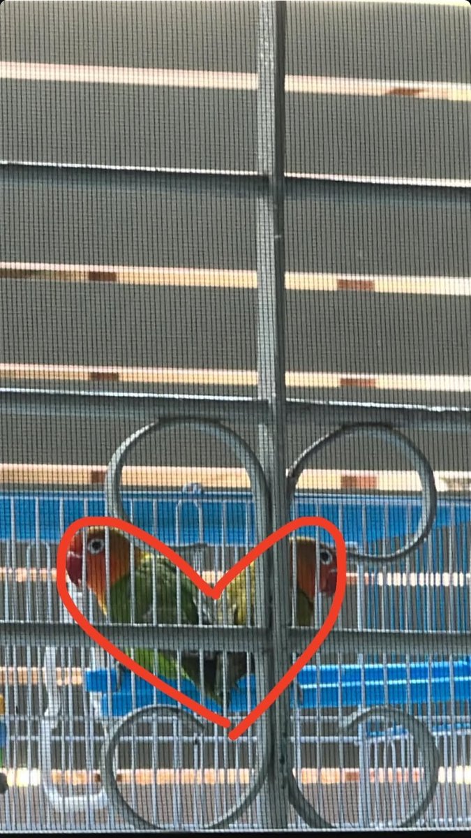 justindailoph's tweet photo. [#ADEADailo] IGS Update

Grey windows and a Heart... Hmmm 👀

@adeadailo #adeadailomusic https://t.co/0TBVbYprbs