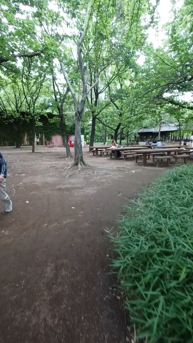 chshiuu_2's tweet photo. 引っ越す直前に初めて行った
1分距離の公園です。

一回でも行ってみてよかったです！

赤羽自然観察公園

#日本人と繋がりたい
#韓国人と繋がりたい
#일본인과소통하고싶어요 
#한국인과소통하고싶어요
#日常 
#友達募集中 https://t.co/s2UkblgJ2N