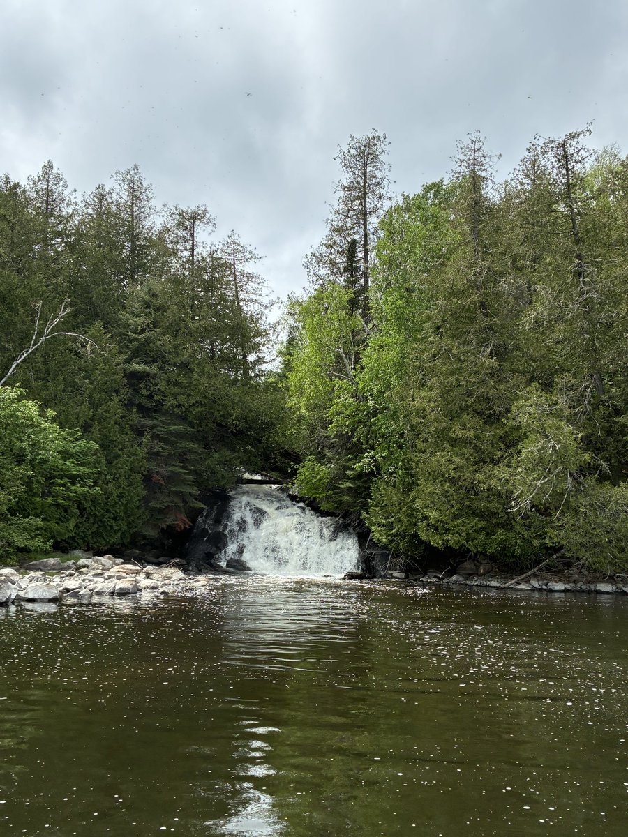 RedbirdBlues56's tweet photo. and a few more pics from beautiful Lac Seul just because you all need to see this beautiful nature https://t.co/VbdRJGGCtp