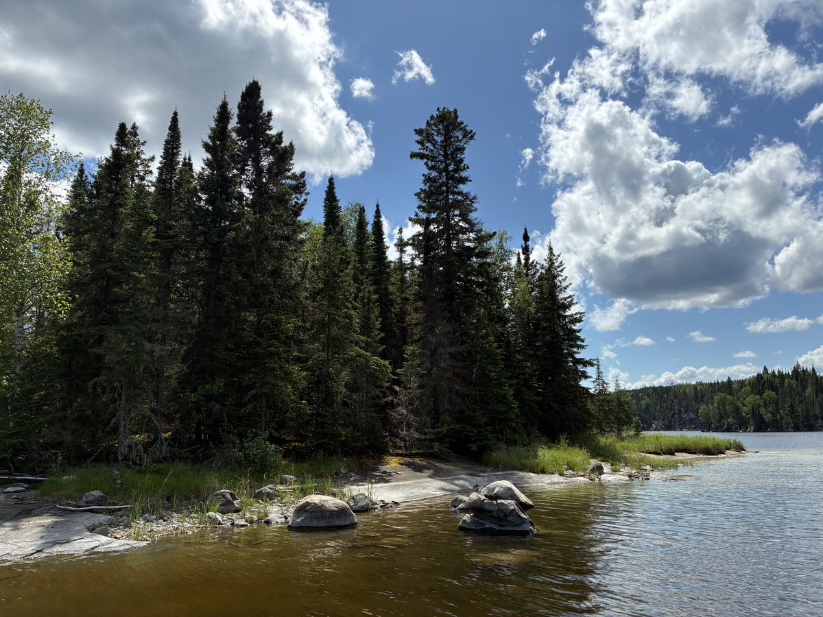 RedbirdBlues56's tweet photo. and a few more pics from beautiful Lac Seul just because you all need to see this beautiful nature https://t.co/VbdRJGGCtp