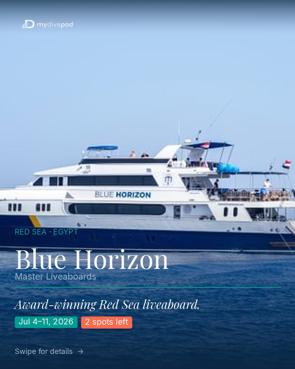 mydivepod's tweet photo. Red Sea. 7 days. Award-winning liveaboard.
$1,288 → $1,159 with 10% MyDivePod launch discount.

Brothers &amp; Elphinstone · Thistlegorm · Ras Mohammed.
Jul 4–11, 2026. 2 spots left.

https://t.co/WfUxZ6V4dD https://t.co/CAkq0nL7e0