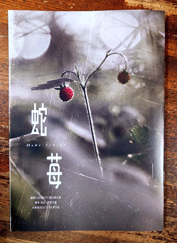 fairplace74's tweet photo. 14日Red Theater『 #舞台蛇苺 』大楽
過去シーンなど映像も巧く演出に使う
大楽だから書くけど物語の途中から平松可奈子さん演じる江崎姫乃は木﨑ゆりあさん演じる白川寧々が幼い頃一緒に誘拐事件に巻き込まれ助け出されなかった雛乃と同一人物ではないかと薄々感じたが福井警部には気づけなかったなぁ https://t.co/EzReGhhMr1