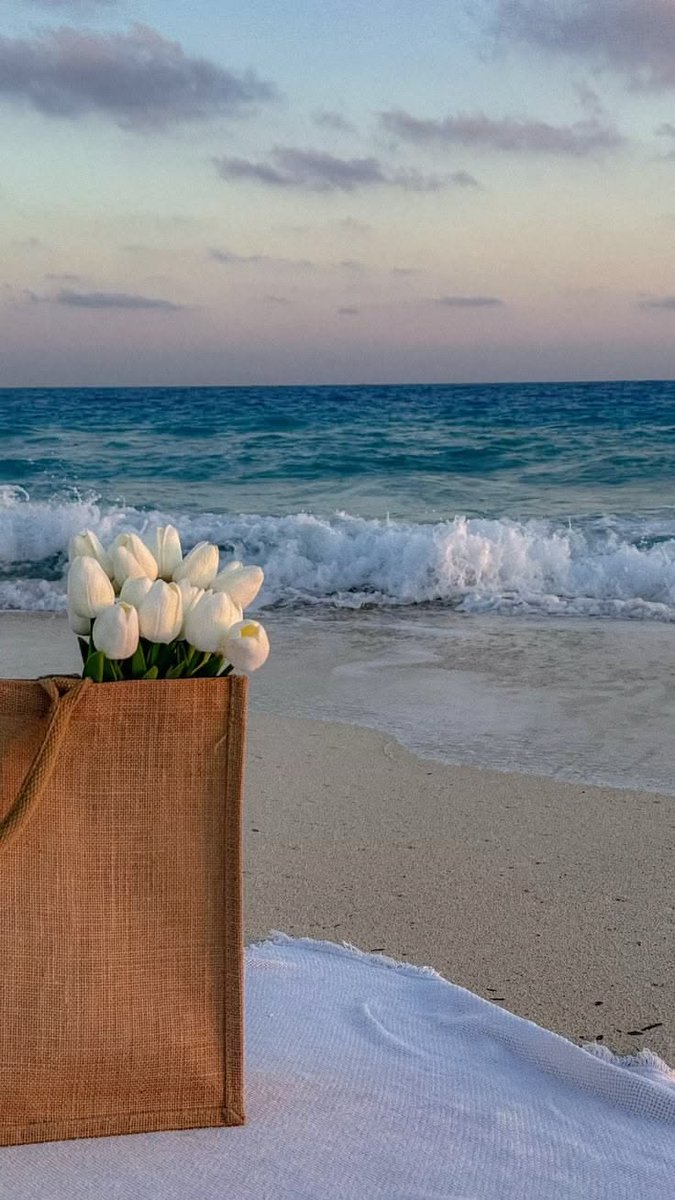 ocean 🌊 tweet media