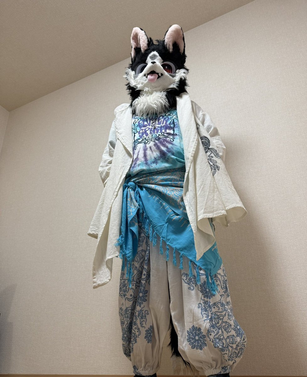 noir_monochrome's tweet photo. ご主人に新しい衣装買ってもらったよ～🐶✨
#ケモノをみて今週もがんばりマンデー https://t.co/bTIUscerlA