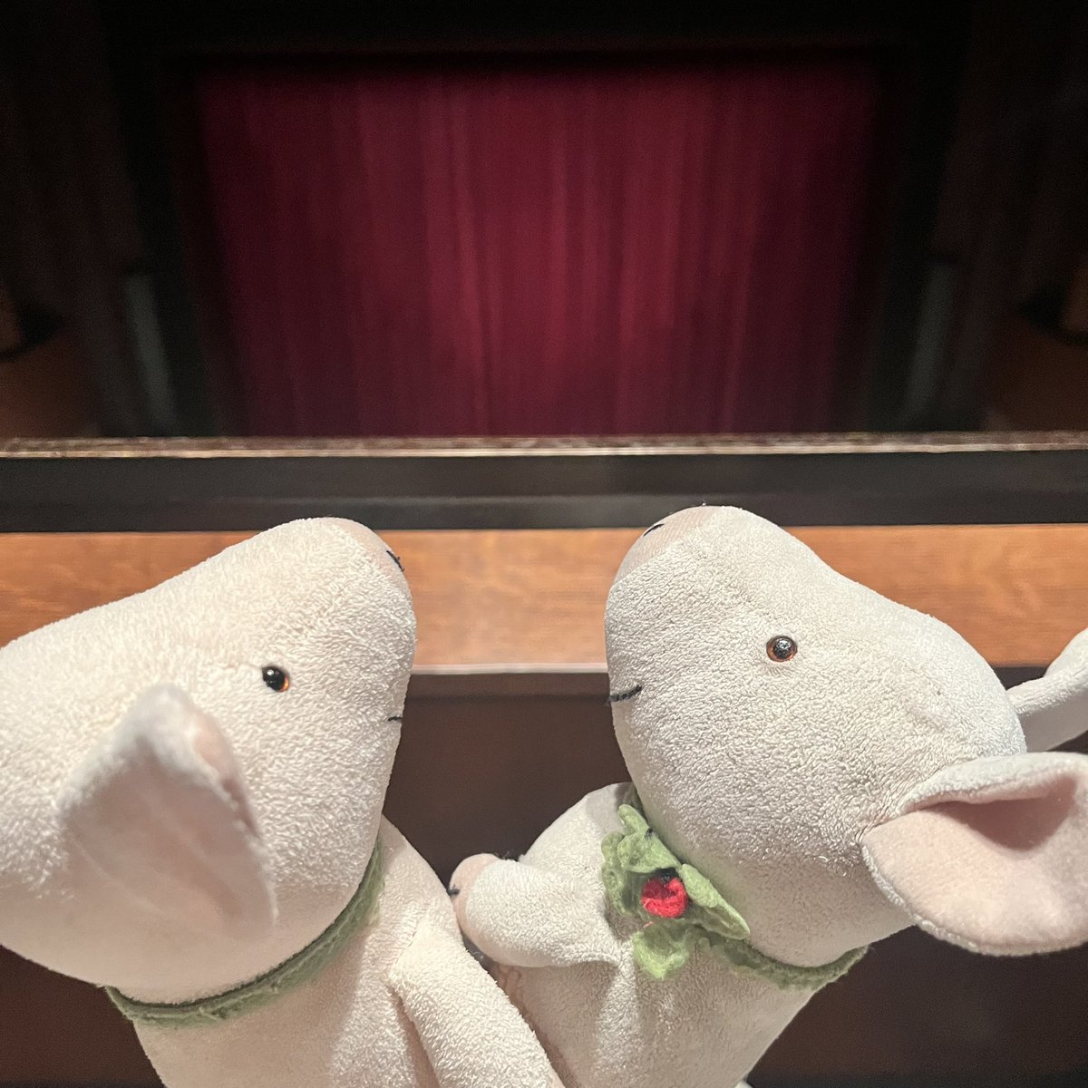 hatarakubuta's tweet photo. 白鳥の湖@新国🦢千穐楽🐷🐷
柴山李組✨

紗帆さん美しい❣️オデットもだけど、オディール出てきたら魅力的すぎ…

李くん悲哀の王子似合うー

井澤ロットバルト…格好良すぎん⁉️

廷臣のおじさん達の配役も出して欲しかったなぁ。

4階だと群舞が美しすぎて泣けます…

白鳥終わっちゃった〜

#ぬい撮り https://t.co/7R2jWAyGwj