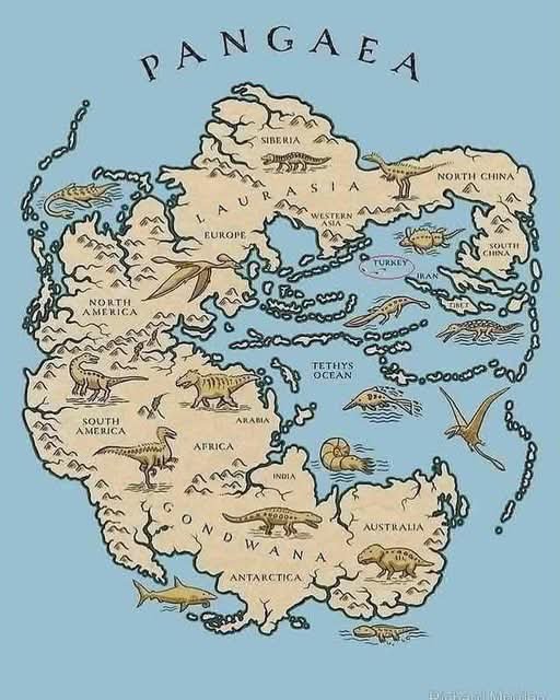 histories_arch's tweet photo. Over 200 million years ago, all the continents we know today were once joined together in a massive supercontinent called Pangaea. Surrounded by a vast ocean known as Panthalassa, Pangaea existed during the Permian to Triassic periods. Its gradual breakup—starting around 230 million years ago—led to the formation of the continents as we recognize them today.

The idea of Pangaea was first introduced in the early 20th century by scientist Alfred Wegener, through his theory of continental drift. Although initially met with skepticism, his ideas gained strong support in the 1960s with the development of the plate tectonics theory. This theory explains how Earth's outer shell is made up of moving plates that shift over time, causing continents to drift apart.

Strong evidence supports the existence of Pangaea: identical fossils found on different continents, similar rock layers across great distances, and patterns in ancient species distribution. Today, Pangaea remains a key concept in understanding Earth's geological past. 

© Reddit

#archaeohistories