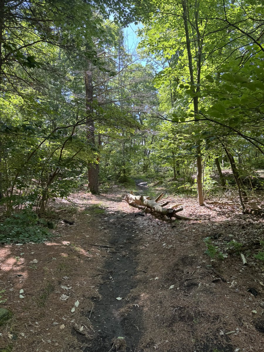 Stephen_Reports's tweet photo. Some more photos of the trail to Mt. Tom Tower! https://t.co/FRe1RHbBU0