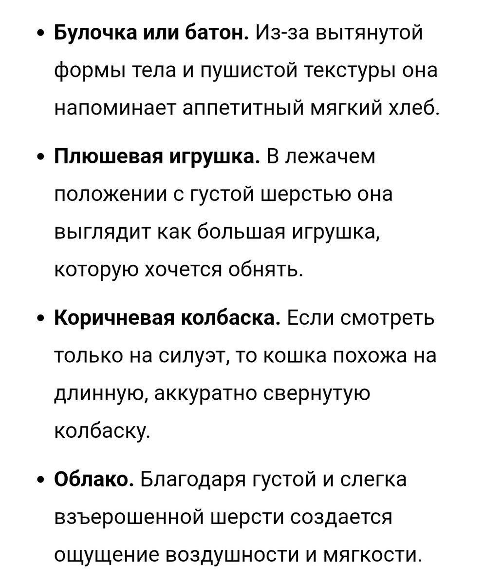KaEn | Огонёк🔥 tweet media